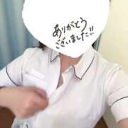 ヒメ日記 2025/04/28 16:50 投稿 しろ 熊本しこたまクリニック