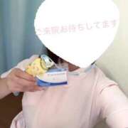 ヒメ日記 2025/04/30 07:50 投稿 しろ 熊本しこたまクリニック