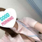 ヒメ日記 2025/05/14 08:20 投稿 しろ 熊本しこたまクリニック