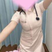 ヒメ日記 2025/06/07 16:03 投稿 しろ 熊本しこたまクリニック