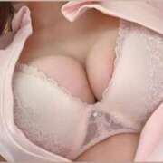 ヒメ日記 2025/06/13 15:24 投稿 しろ 熊本しこたまクリニック