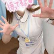 ヒメ日記 2025/06/23 08:20 投稿 しろ 熊本しこたまクリニック