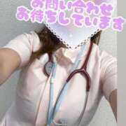 ヒメ日記 2025/06/26 10:50 投稿 しろ 熊本しこたまクリニック