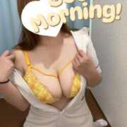 ヒメ日記 2025/06/29 08:20 投稿 しろ 熊本しこたまクリニック