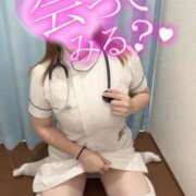 ヒメ日記 2025/07/07 23:00 投稿 しろ 熊本しこたまクリニック