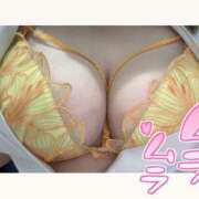 ヒメ日記 2025/07/11 21:20 投稿 しろ 熊本しこたまクリニック