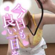 ヒメ日記 2025/07/16 07:50 投稿 しろ 熊本しこたまクリニック