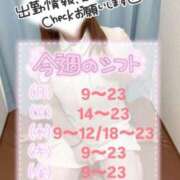 ヒメ日記 2025/07/21 13:50 投稿 しろ 熊本しこたまクリニック