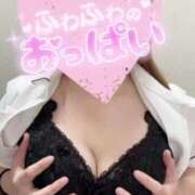 ヒメ日記 2025/07/21 18:50 投稿 しろ 熊本しこたまクリニック