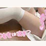 ヒメ日記 2025/09/02 17:20 投稿 しろ 熊本しこたまクリニック