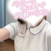 ヒメ日記 2025/09/04 08:40 投稿 しろ 熊本しこたまクリニック