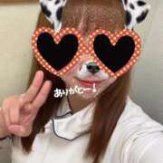 ヒメ日記 2025/09/14 17:30 投稿 しろ 熊本しこたまクリニック