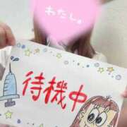 ヒメ日記 2025/09/27 14:06 投稿 しろ 熊本しこたまクリニック