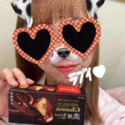 ヒメ日記 2025/10/08 18:50 投稿 しろ 熊本しこたまクリニック