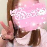 ヒメ日記 2025/10/09 10:20 投稿 しろ 熊本しこたまクリニック