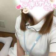 ヒメ日記 2025/10/13 08:20 投稿 しろ 熊本しこたまクリニック