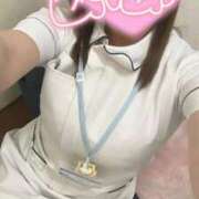 ヒメ日記 2025/11/07 10:20 投稿 しろ 熊本しこたまクリニック