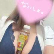 ヒメ日記 2025/11/11 17:00 投稿 しろ 熊本しこたまクリニック