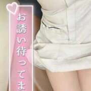 ヒメ日記 2025/11/17 16:40 投稿 しろ 熊本しこたまクリニック