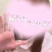 ヒメ日記 2025/11/20 09:40 投稿 しろ 熊本しこたまクリニック