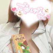 ヒメ日記 2025/12/22 10:30 投稿 しろ 熊本しこたまクリニック