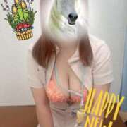 ヒメ日記 2026/01/01 12:50 投稿 しろ 熊本しこたまクリニック