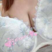 ヒメ日記 2026/01/10 09:30 投稿 しろ 熊本しこたまクリニック