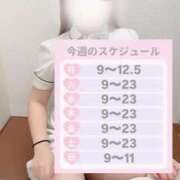 ヒメ日記 2026/01/20 09:20 投稿 しろ 熊本しこたまクリニック