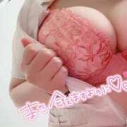 ヒメ日記 2026/01/29 20:50 投稿 しろ 熊本しこたまクリニック