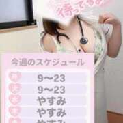 ヒメ日記 2026/02/09 12:53 投稿 しろ 熊本しこたまクリニック