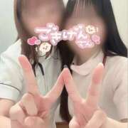 ヒメ日記 2026/02/12 09:33 投稿 しろ 熊本しこたまクリニック