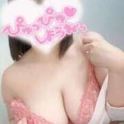 ヒメ日記 2026/02/20 09:13 投稿 しろ 熊本しこたまクリニック