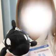 ヒメ日記 2026/02/22 16:03 投稿 しろ 熊本しこたまクリニック