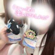 ヒメ日記 2026/03/04 17:37 投稿 しろ 熊本しこたまクリニック