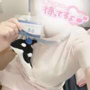 ヒメ日記 2026/04/30 09:13 投稿 しろ 熊本しこたまクリニック（アクセスグループ）