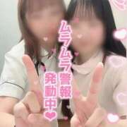 ヒメ日記 2026/06/08 20:03 投稿 しろ 熊本しこたまクリニック（アクセスグループ）