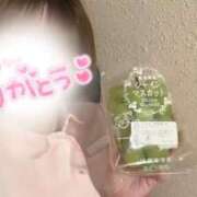 ヒメ日記 2026/08/01 20:14 投稿 しろ 熊本しこたまクリニック（アクセスグループ）