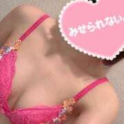 ヒメ日記 2025/04/20 14:42 投稿 川上 こはね SUMIRE