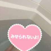 ヒメ日記 2025/10/03 19:14 投稿 川上 こはね SUMIRE