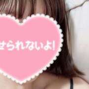 ヒメ日記 2025/11/19 17:09 投稿 川上 こはね SUMIRE