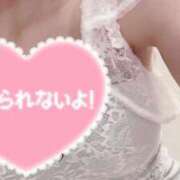 ヒメ日記 2026/02/11 17:31 投稿 川上 こはね SUMIRE