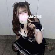 ヒメ日記 2025/01/26 16:01 投稿 アラモード 今こそ!にゃんにゃん学園