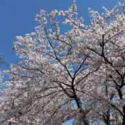 ヒメ日記 2026/04/03 11:56 投稿 えみ 太田人妻城