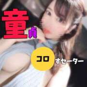 ヒメ日記 2025/02/24 08:15 投稿 ひな・SP アニバーサリー