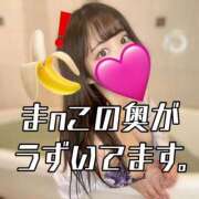 ヒメ日記 2025/03/04 07:31 投稿 ひな・SP アニバーサリー