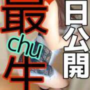 ヒメ日記 2025/04/04 07:00 投稿 ひな・SP アニバーサリー