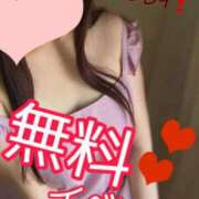 ヒメ日記 2025/04/11 17:00 投稿 ひな・SP アニバーサリー