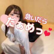 ヒメ日記 2025/04/28 07:00 投稿 ひな・SP アニバーサリー