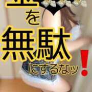 ヒメ日記 2025/04/29 07:00 投稿 ひな・SP アニバーサリー