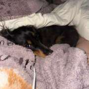 ヒメ日記 2025/05/08 01:45 投稿 ひな・SP アニバーサリー